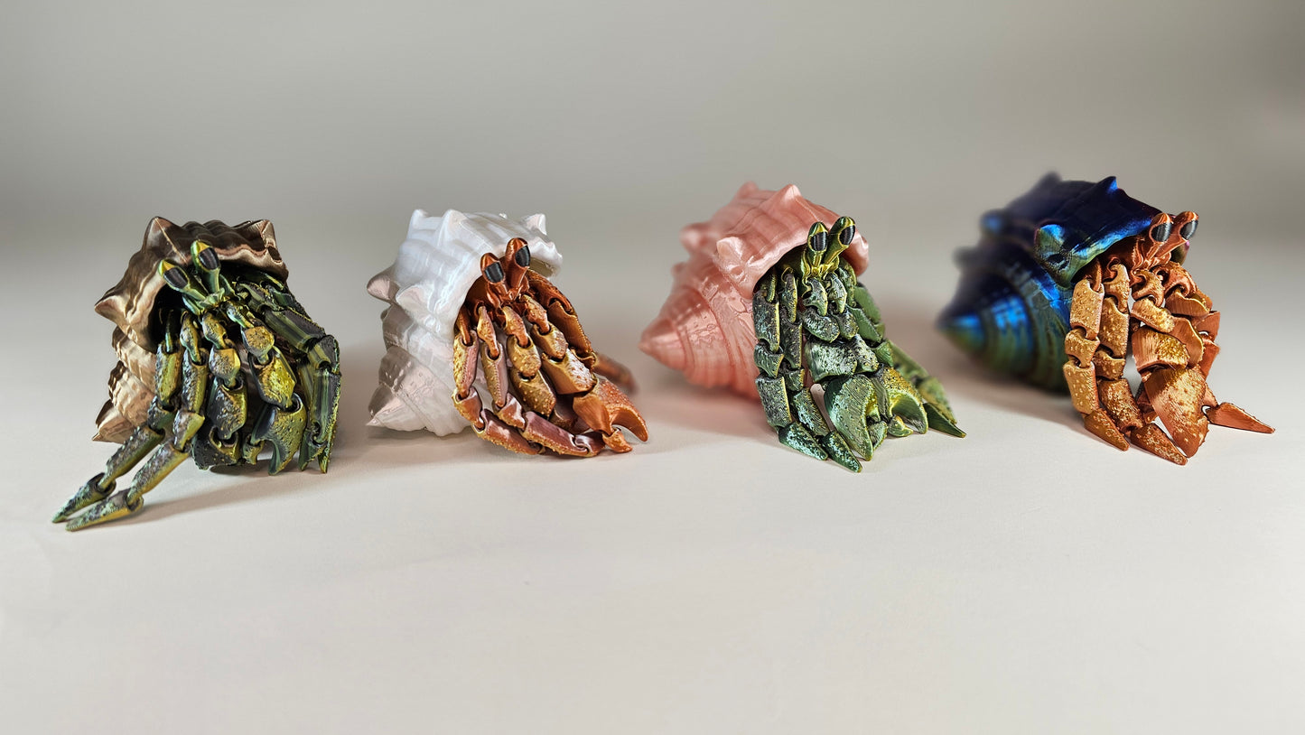 Articulated Hermes, the Hermit Crab