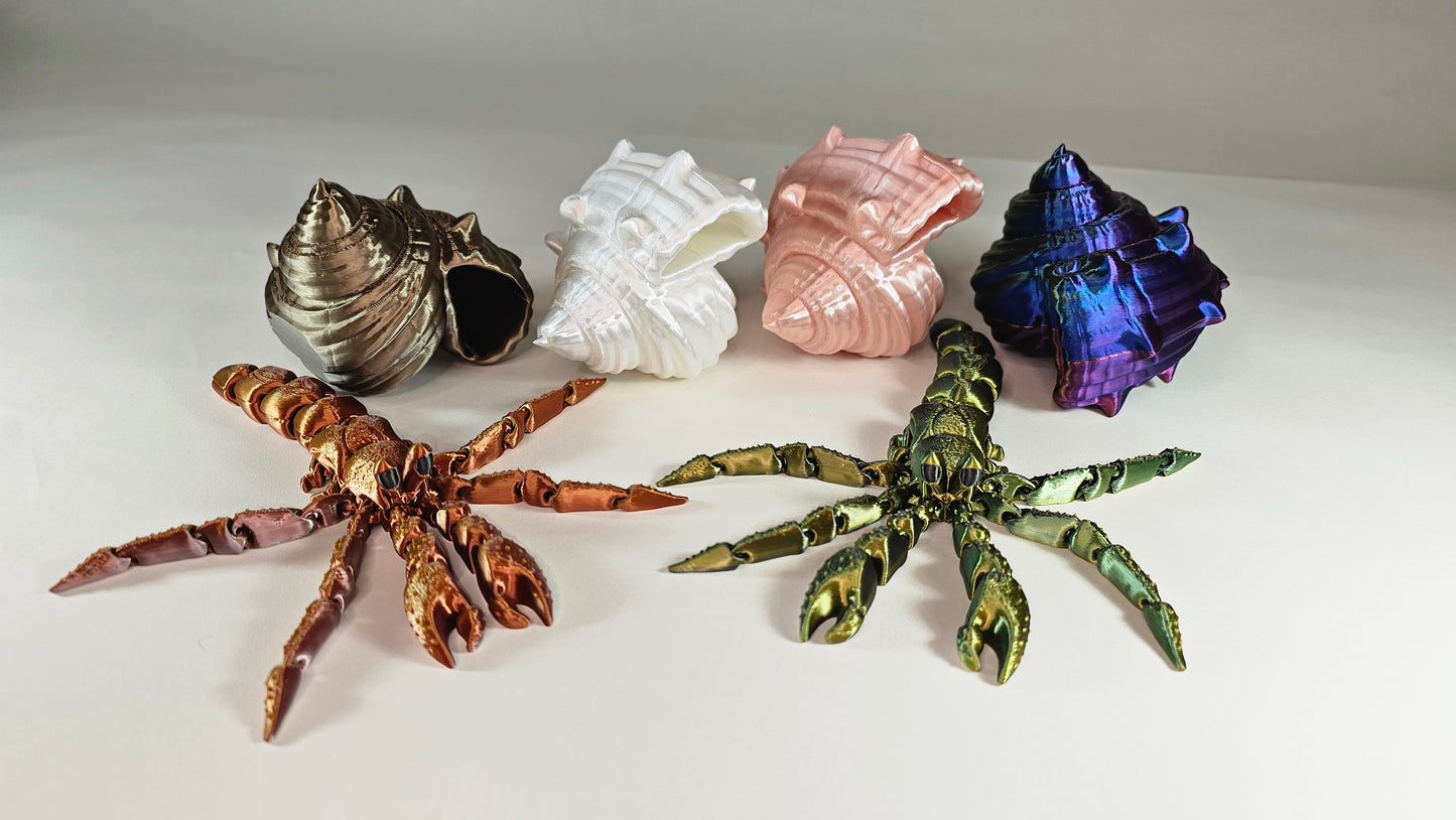 Articulated Hermes, the Hermit Crab