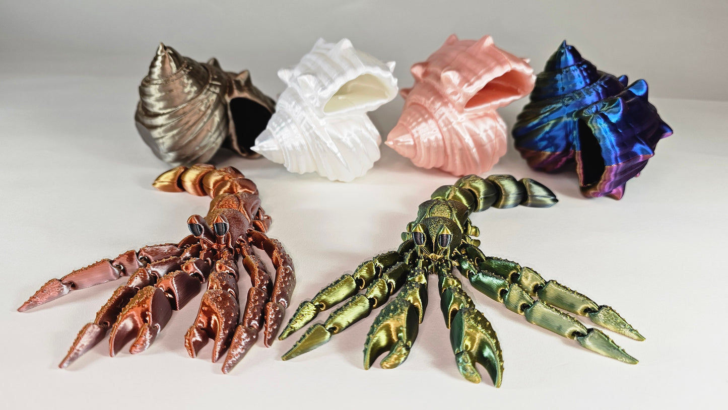 Articulated Hermes, the Hermit Crab
