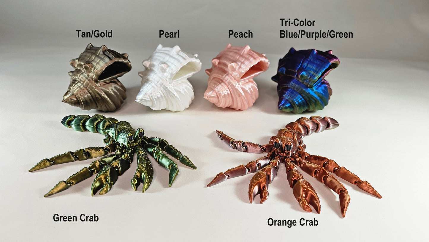 Articulated Hermes, the Hermit Crab