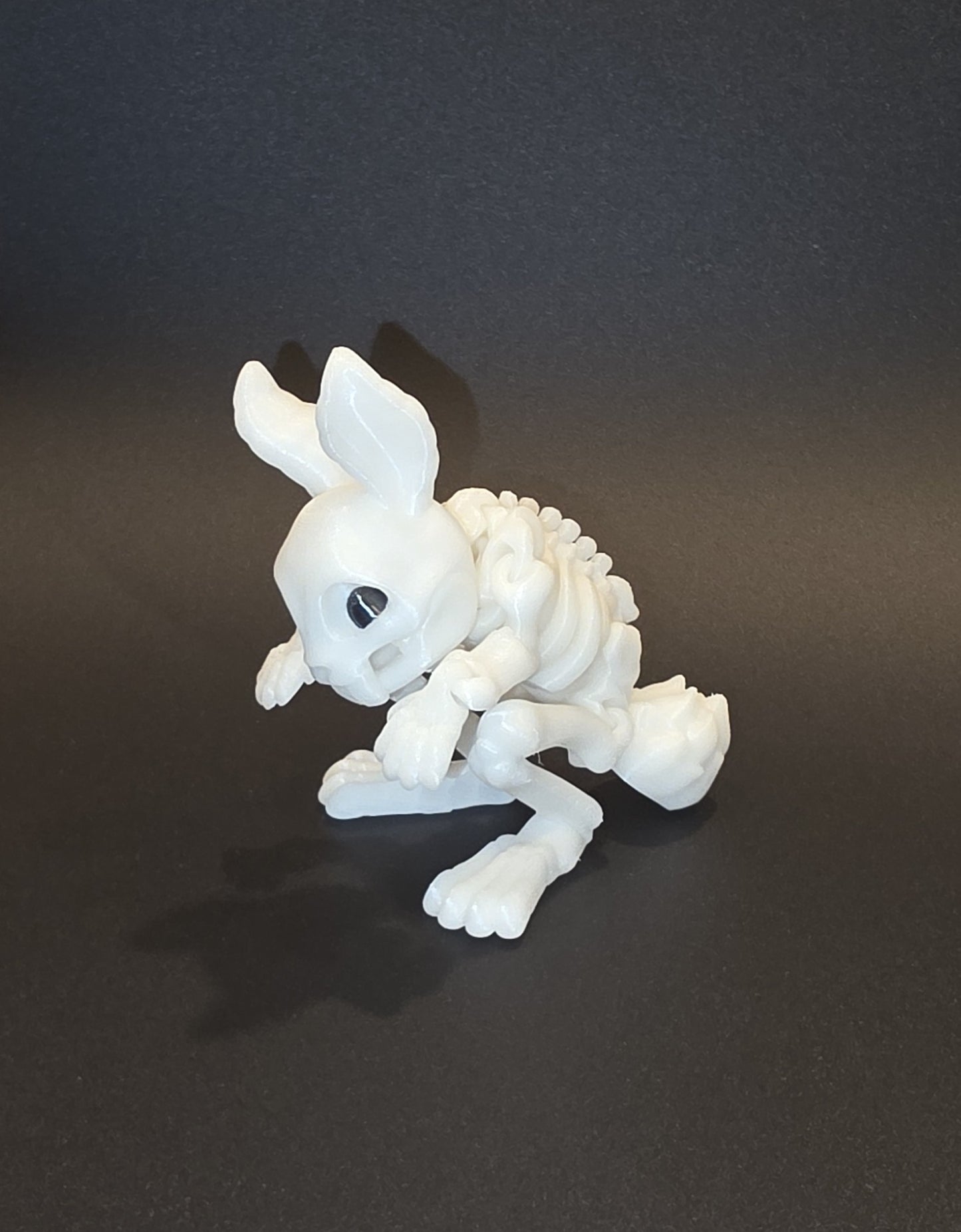 Skeleton Pets 3D Printed Spooky Cute Squirrel, Chameleon, Rabbit, Cat &amp; Dog – Glow in the Dark Halloween Decor