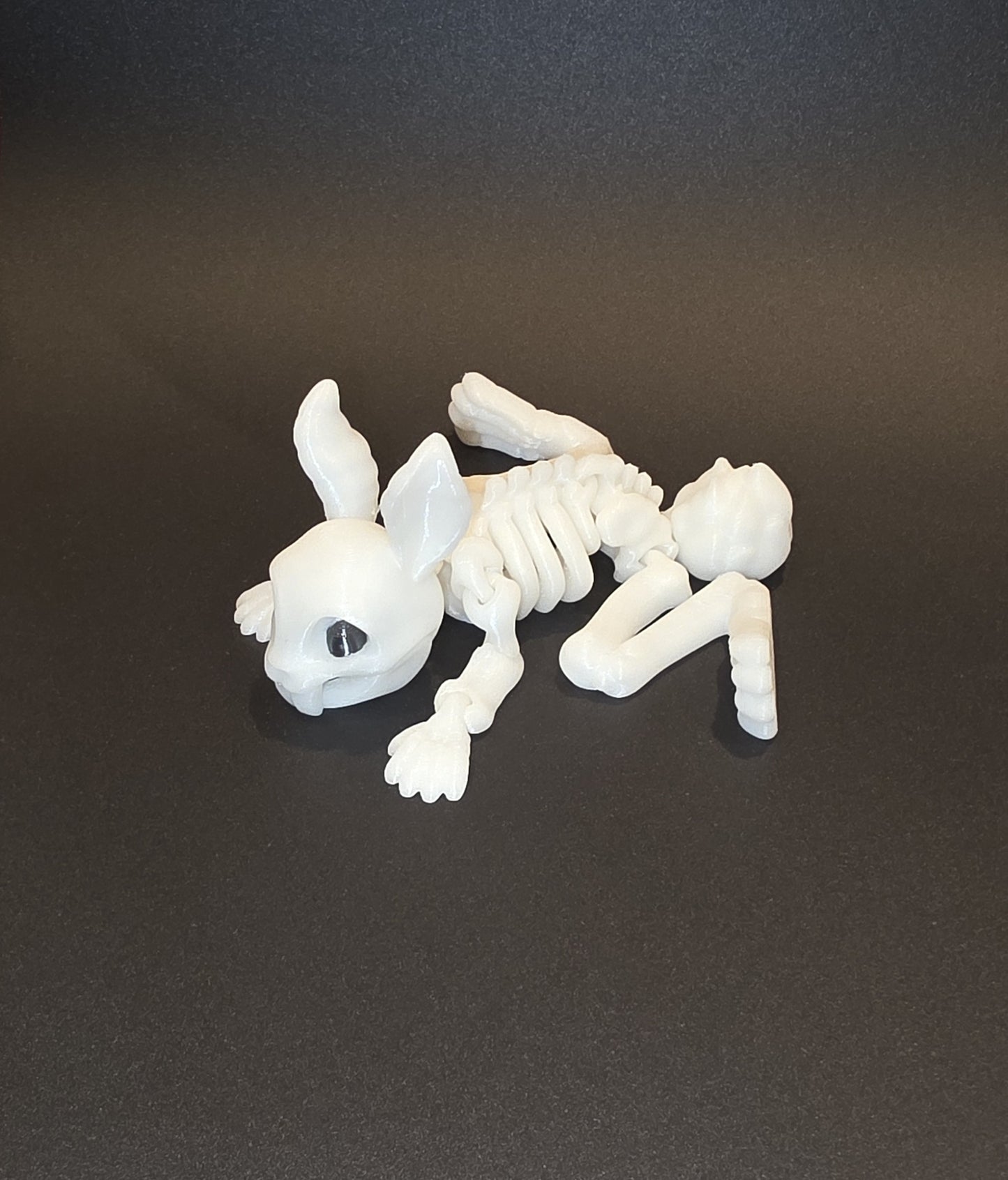 Skeleton Pets 3D Printed Spooky Cute Squirrel, Chameleon, Rabbit, Cat &amp; Dog – Glow in the Dark Halloween Decor